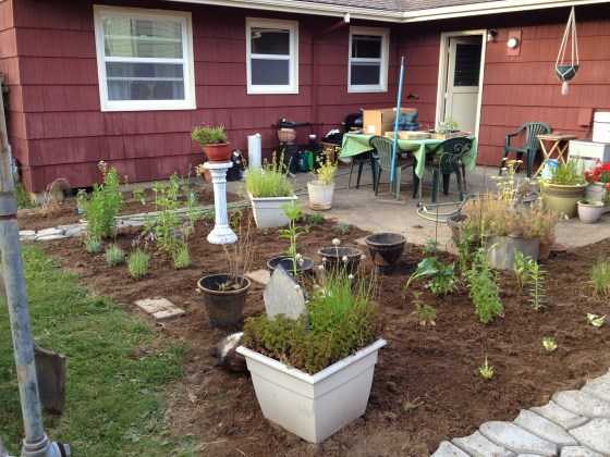 herb garden first planting