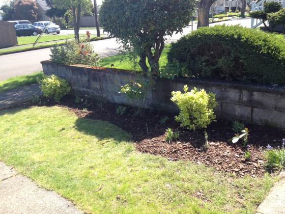 driveway side transformed