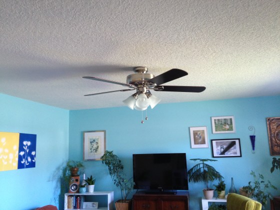 After ceiling fan