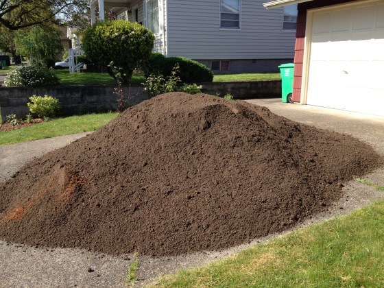 Pile of dirt