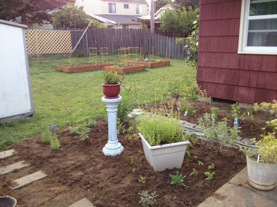 herb garden start
