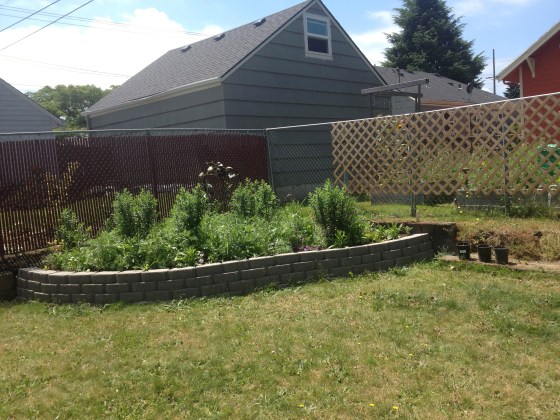 Behind the retaining wall