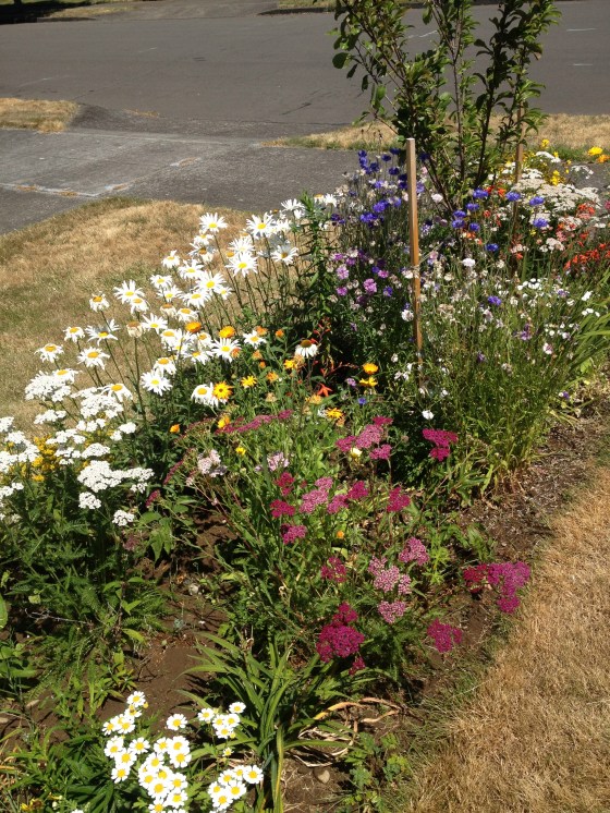 Front - so much color