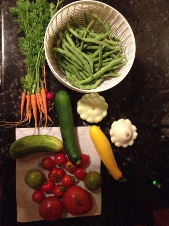 vegetable harvest