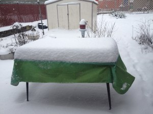 snow saturday morning