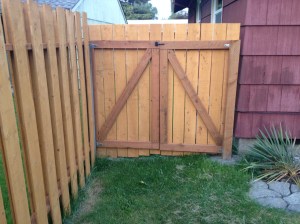 Gate from backyard