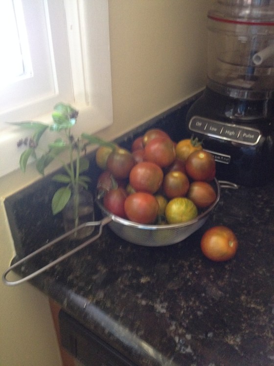 black krums and green zebras