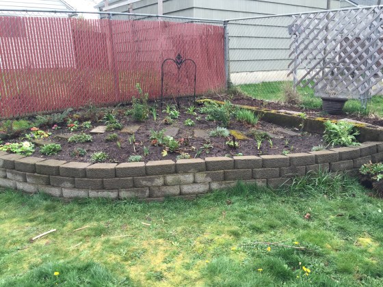 Replanted retaining wall bed