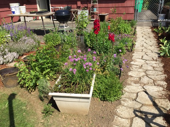 Herb bed2