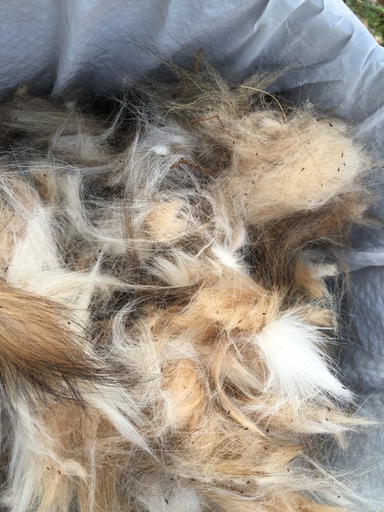 Garbage can of gross