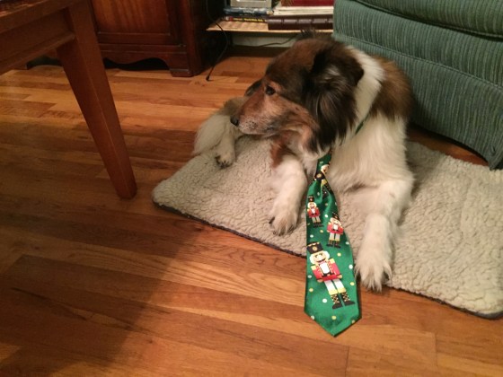 Lily was so excited she wouldn't look at the camera — which is just how she always treats having her picture taken.